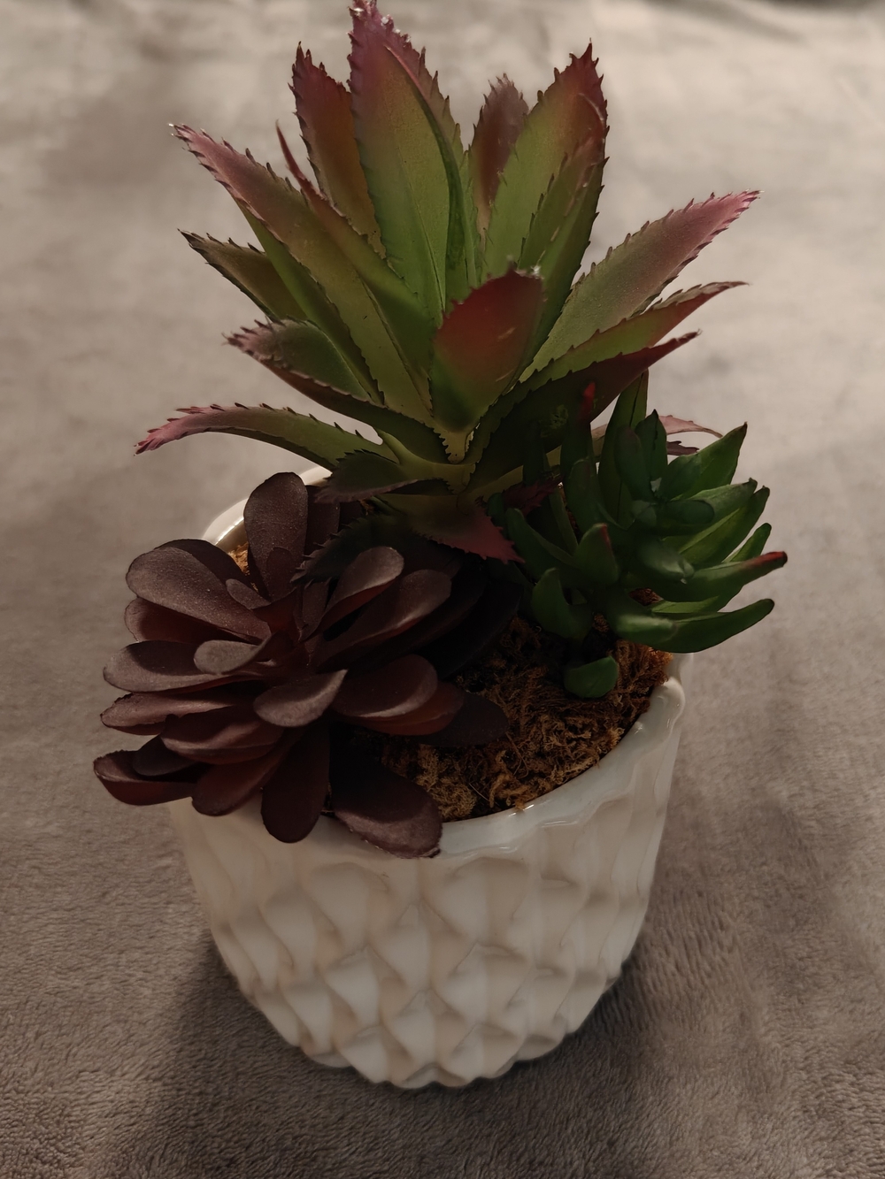 Faux Succulents, Green and Burgundy in a White Planter